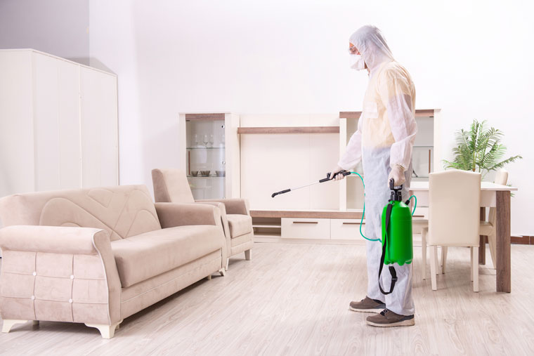 professional sanitization and disinfection services in NJ