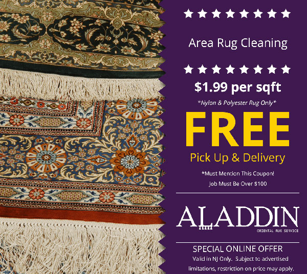 area rug cleaning $1.99 per sqft  free delivery in nj