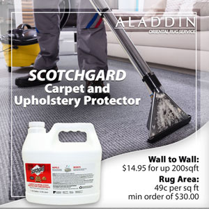 Scotchgard Carpet and Upholstery Protector in NJ