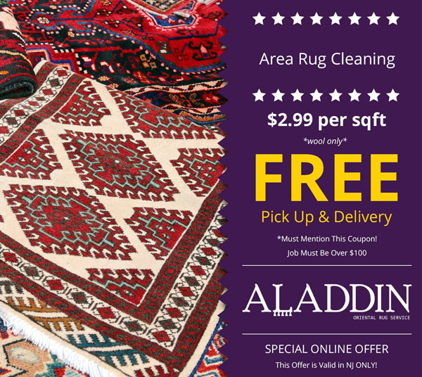 area rug cleaning $2.99 per sqft  free delivery in nj